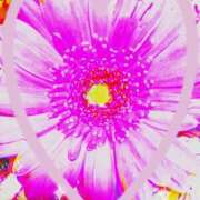 ヒメ日記 2026/01/26 07:51 投稿 らん 熟女の風俗最終章 宇都宮店