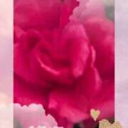 ヒメ日記 2026/01/29 05:01 投稿 らん 熟女の風俗最終章 宇都宮店