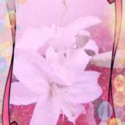 ヒメ日記 2026/01/29 22:11 投稿 らん 熟女の風俗最終章 宇都宮店