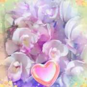 ヒメ日記 2026/01/30 22:41 投稿 らん 熟女の風俗最終章 宇都宮店