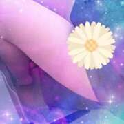 ヒメ日記 2026/02/04 11:24 投稿 らん 熟女の風俗最終章 宇都宮店