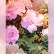 ヒメ日記 2026/02/05 07:31 投稿 らん 熟女の風俗最終章 宇都宮店