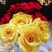 ヒメ日記 2026/02/05 22:01 投稿 らん 熟女の風俗最終章 宇都宮店