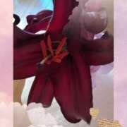 ヒメ日記 2026/02/06 07:51 投稿 らん 熟女の風俗最終章 宇都宮店