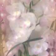 ヒメ日記 2026/02/06 23:01 投稿 らん 熟女の風俗最終章 宇都宮店