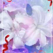 ヒメ日記 2026/02/10 05:11 投稿 らん 熟女の風俗最終章 宇都宮店