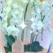 ヒメ日記 2026/02/13 00:11 投稿 らん 熟女の風俗最終章 宇都宮店