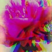 ヒメ日記 2026/02/14 23:31 投稿 らん 熟女の風俗最終章 宇都宮店