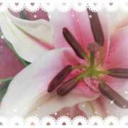 ヒメ日記 2026/02/15 05:11 投稿 らん 熟女の風俗最終章 宇都宮店