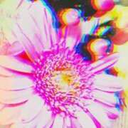 ヒメ日記 2026/02/15 22:51 投稿 らん 熟女の風俗最終章 宇都宮店