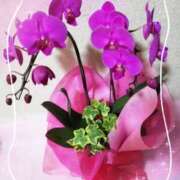 ヒメ日記 2026/02/16 22:41 投稿 らん 熟女の風俗最終章 宇都宮店