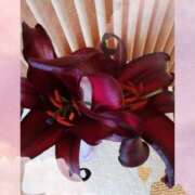 ヒメ日記 2026/02/18 06:31 投稿 らん 熟女の風俗最終章 宇都宮店