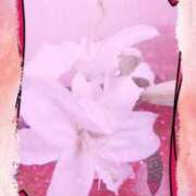 ヒメ日記 2026/02/23 05:11 投稿 らん 熟女の風俗最終章 宇都宮店