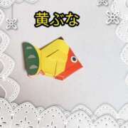 ヒメ日記 2026/02/25 13:01 投稿 らん 熟女の風俗最終章 宇都宮店