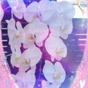 ヒメ日記 2026/02/26 22:41 投稿 らん 熟女の風俗最終章 宇都宮店