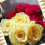 ヒメ日記 2026/02/27 05:11 投稿 らん 熟女の風俗最終章 宇都宮店