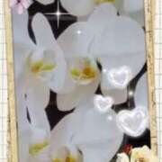 ヒメ日記 2026/02/28 23:21 投稿 らん 熟女の風俗最終章 宇都宮店