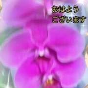 ヒメ日記 2026/03/03 05:11 投稿 らん 熟女の風俗最終章 宇都宮店