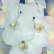 ヒメ日記 2026/03/05 22:31 投稿 らん 熟女の風俗最終章 宇都宮店