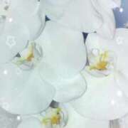 ヒメ日記 2026/03/06 23:21 投稿 らん 熟女の風俗最終章 宇都宮店