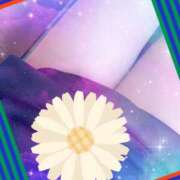 ヒメ日記 2026/03/07 05:11 投稿 らん 熟女の風俗最終章 宇都宮店