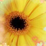 ヒメ日記 2026/03/09 23:21 投稿 らん 熟女の風俗最終章 宇都宮店