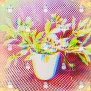 ヒメ日記 2026/03/10 23:01 投稿 らん 熟女の風俗最終章 宇都宮店