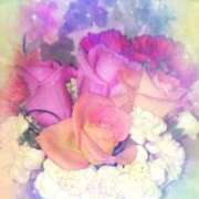 ヒメ日記 2026/03/12 05:11 投稿 らん 熟女の風俗最終章 宇都宮店