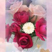 ヒメ日記 2026/03/13 06:51 投稿 らん 熟女の風俗最終章 宇都宮店