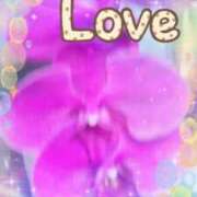 ヒメ日記 2026/03/15 23:51 投稿 らん 熟女の風俗最終章 宇都宮店