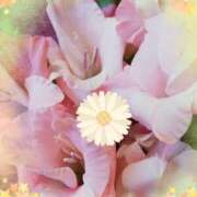 ヒメ日記 2026/03/17 23:21 投稿 らん 熟女の風俗最終章 宇都宮店