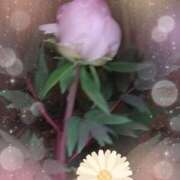 ヒメ日記 2026/03/18 05:41 投稿 らん 熟女の風俗最終章 宇都宮店