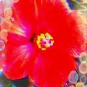 ヒメ日記 2026/03/19 22:41 投稿 らん 熟女の風俗最終章 宇都宮店