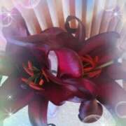 ヒメ日記 2026/03/20 23:41 投稿 らん 熟女の風俗最終章 宇都宮店