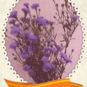 ヒメ日記 2026/03/21 05:11 投稿 らん 熟女の風俗最終章 宇都宮店