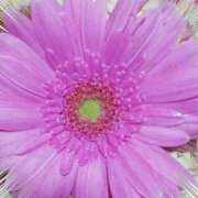 ヒメ日記 2026/03/22 05:21 投稿 らん 熟女の風俗最終章 宇都宮店