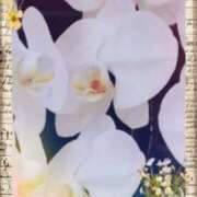 ヒメ日記 2026/03/25 05:21 投稿 らん 熟女の風俗最終章 宇都宮店