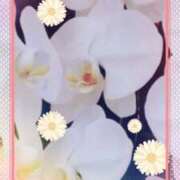 ヒメ日記 2026/03/27 05:01 投稿 らん 熟女の風俗最終章 宇都宮店