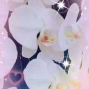 ヒメ日記 2026/03/27 22:51 投稿 らん 熟女の風俗最終章 宇都宮店