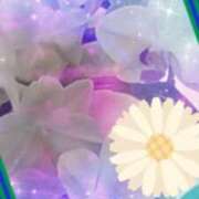 ヒメ日記 2026/03/29 05:01 投稿 らん 熟女の風俗最終章 宇都宮店