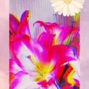 ヒメ日記 2026/03/30 22:51 投稿 らん 熟女の風俗最終章 宇都宮店