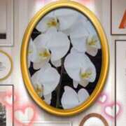 ヒメ日記 2026/04/01 00:01 投稿 らん 熟女の風俗最終章 宇都宮店