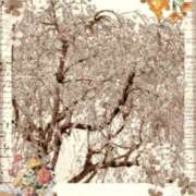 ヒメ日記 2026/04/01 06:01 投稿 らん 熟女の風俗最終章 宇都宮店