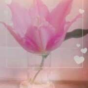 ヒメ日記 2026/04/01 23:31 投稿 らん 熟女の風俗最終章 宇都宮店