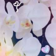 ヒメ日記 2026/04/03 05:01 投稿 らん 熟女の風俗最終章 宇都宮店