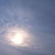 ヒメ日記 2026/04/04 05:01 投稿 らん 熟女の風俗最終章 宇都宮店