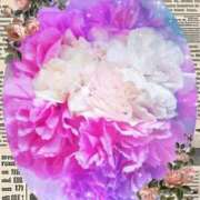 ヒメ日記 2026/04/04 23:41 投稿 らん 熟女の風俗最終章 宇都宮店