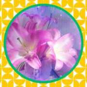 ヒメ日記 2026/04/05 05:08 投稿 らん 熟女の風俗最終章 宇都宮店