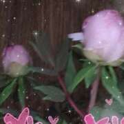 ヒメ日記 2026/04/05 23:31 投稿 らん 熟女の風俗最終章 宇都宮店