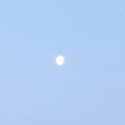 ヒメ日記 2026/04/06 05:21 投稿 らん 熟女の風俗最終章 宇都宮店